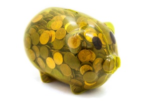 Emergency Fund Piggy Bank